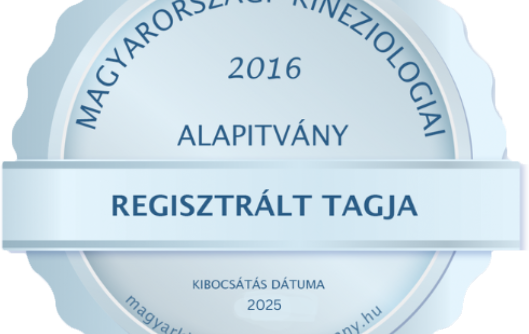 Képzéseim
